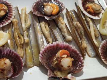 Bar-Casino-Corme-120