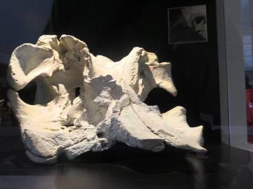 00199.MTS.00_00_00_00.Imagen fija001