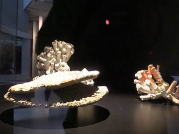 00199.MTS.00_00_06_01.Imagen fija002