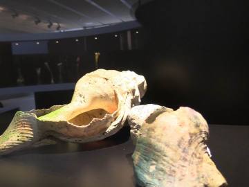 00199.MTS.00_00_11_18.Imagen fija003