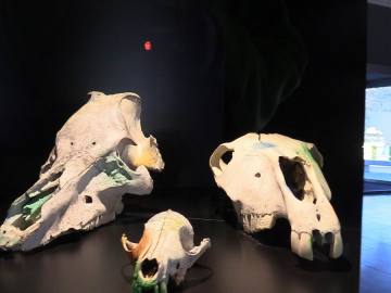 00201.MTS.00_00_00_49.Imagen fija002