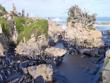 Museo de Man de Camelle