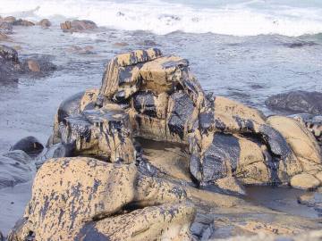 Museo de Man de Camelle